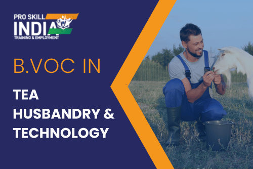 Tea Husbandry & Technology