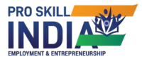 Pro Skill India